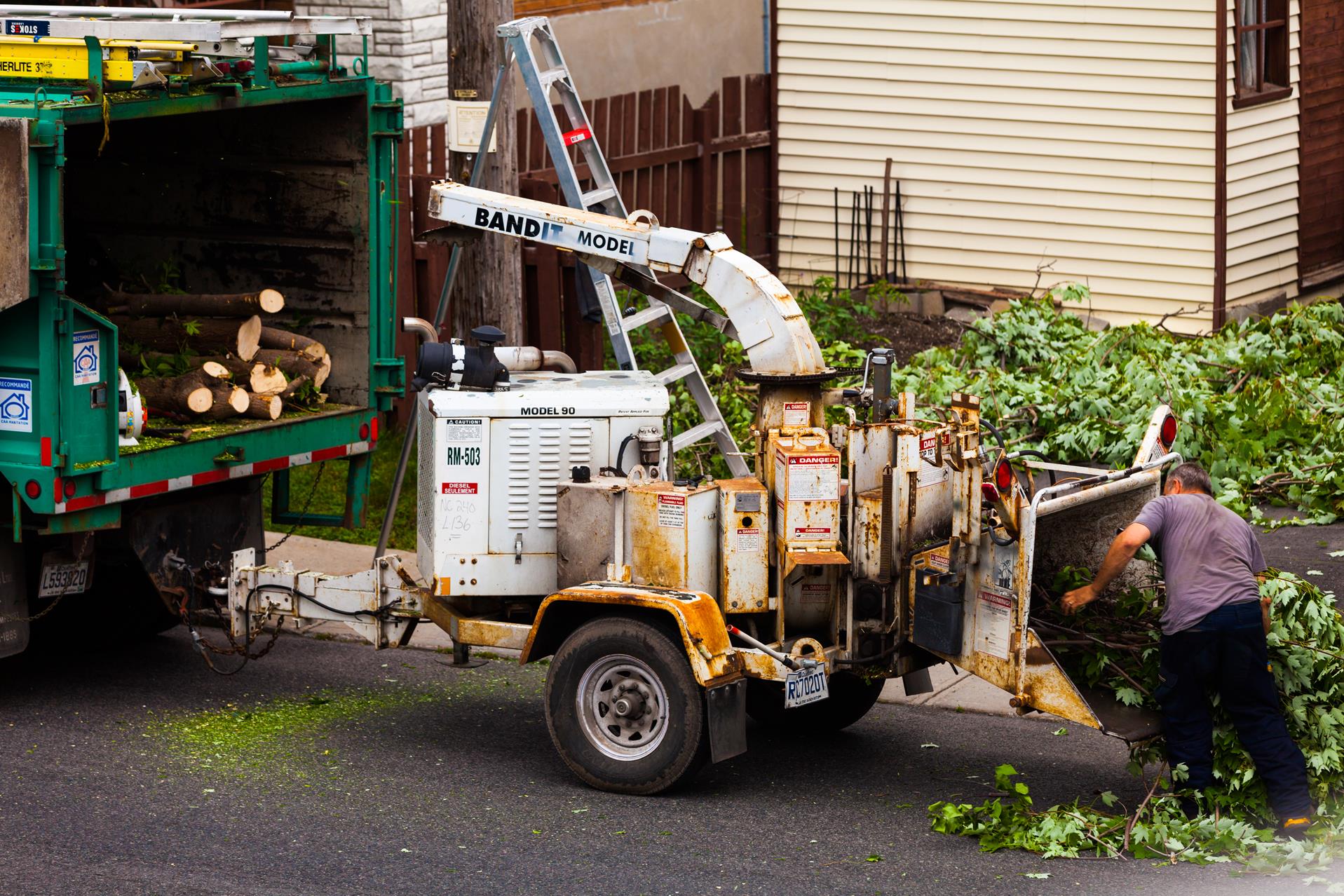 Trusted and Affordable NYC Tree Services Tree Removal NYC