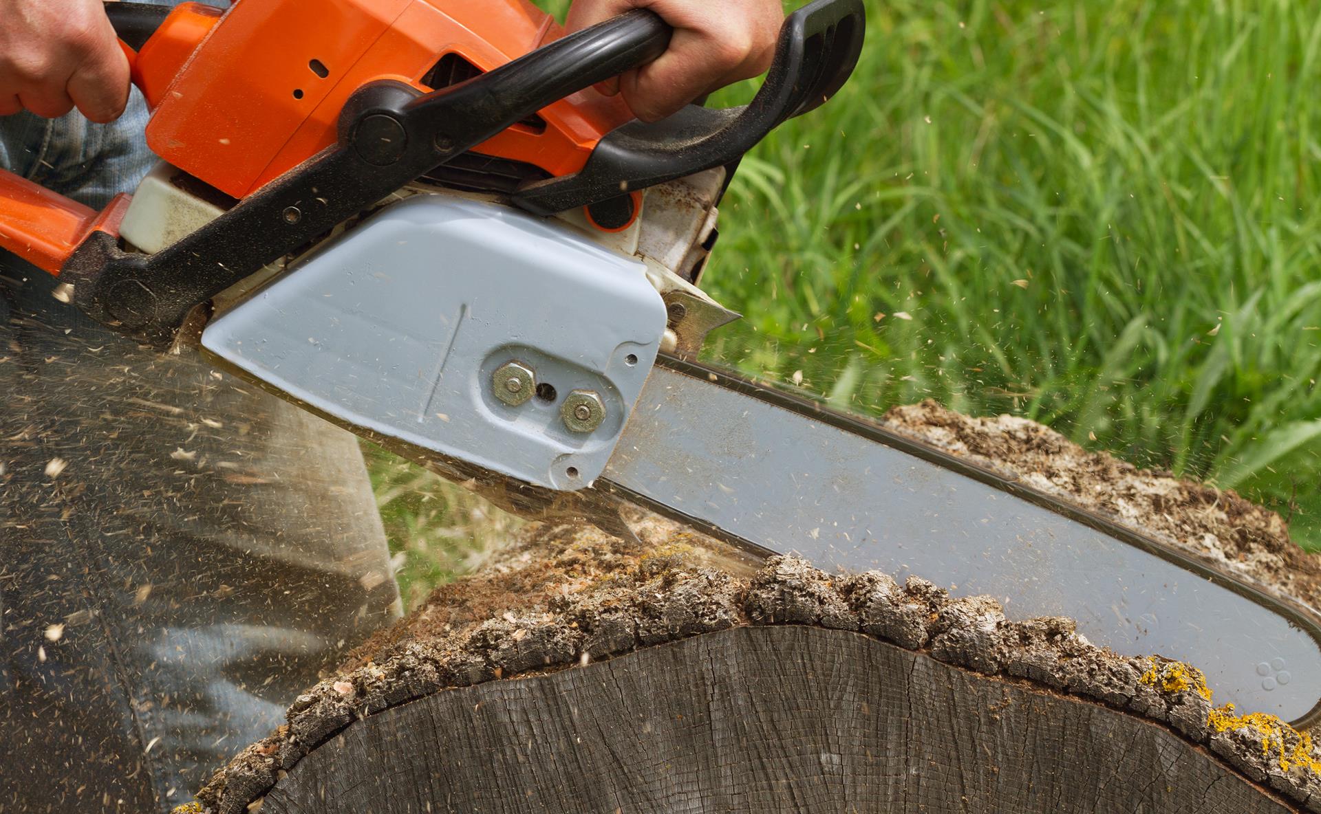 Tree Removal NYC cutting a log 